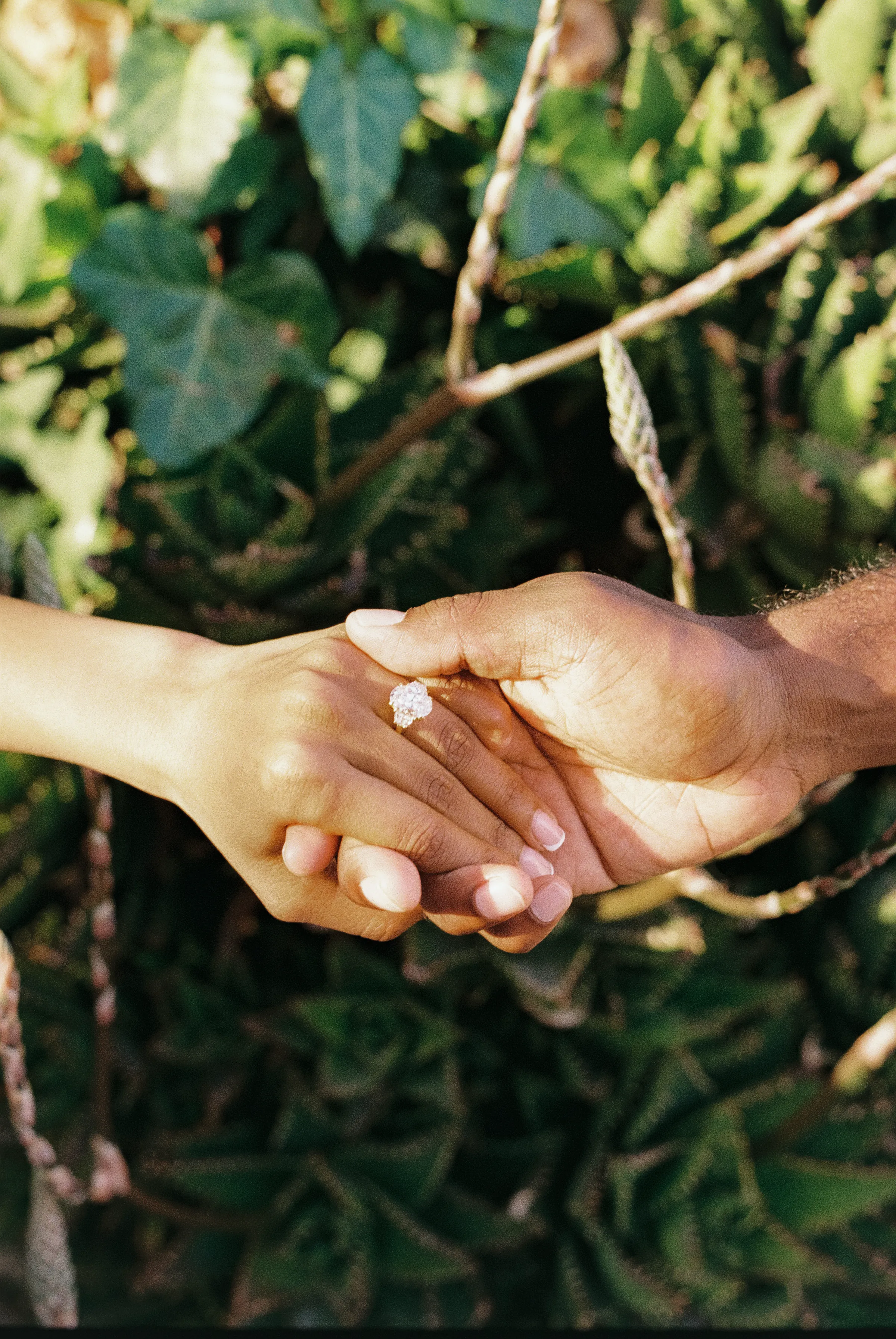 Close detail of a couple holding hands, with an engagement ring in soft outdoor light.