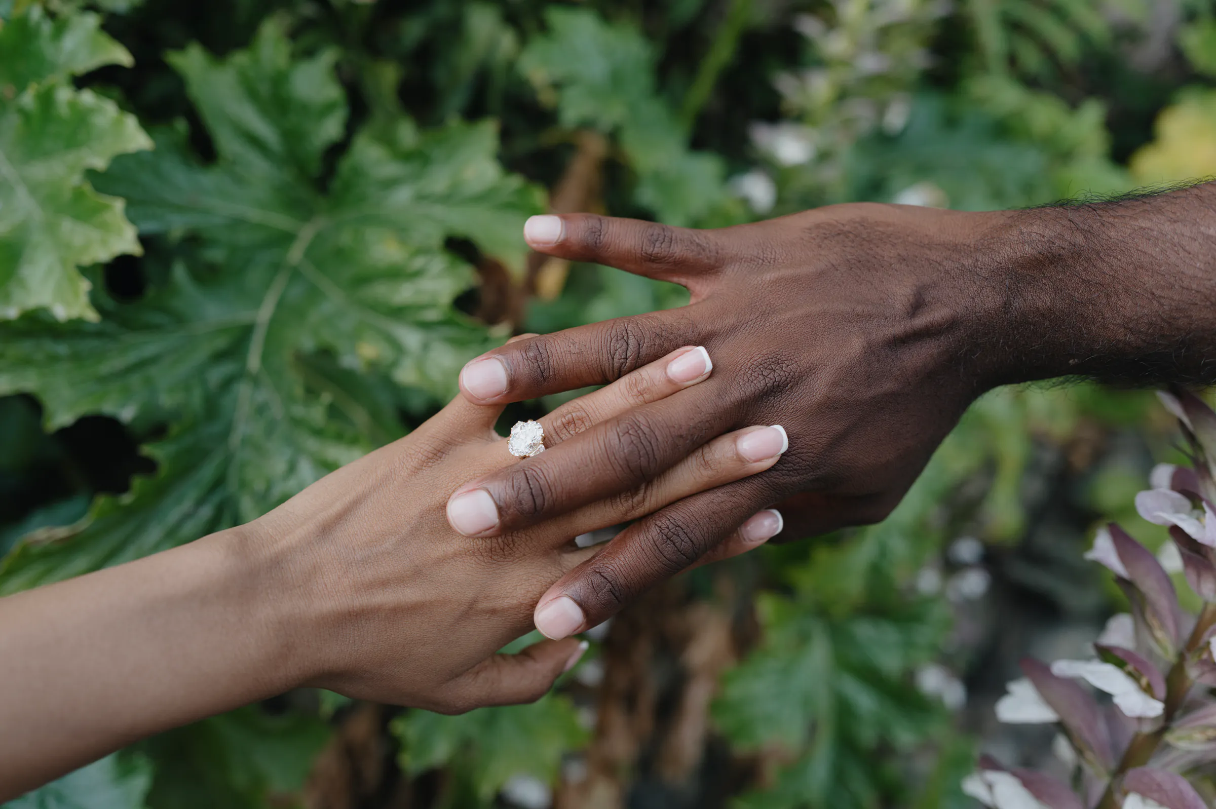 Close portrait of two hands touching during a garden session in soft natural light.