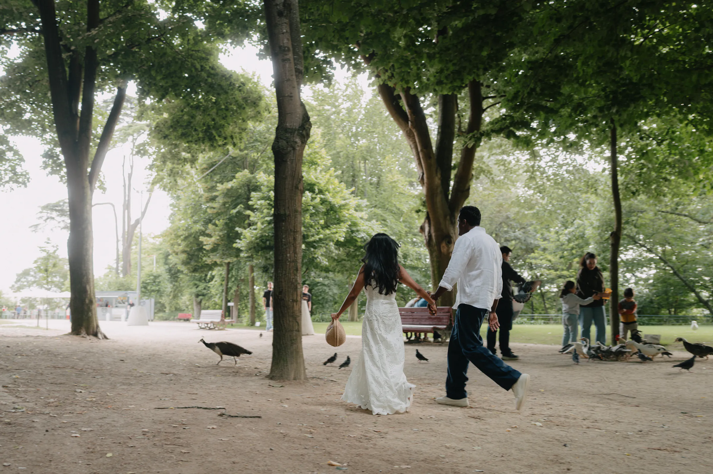 Couple outdoor session walking hand in hand through a shaded park with birds nearby.