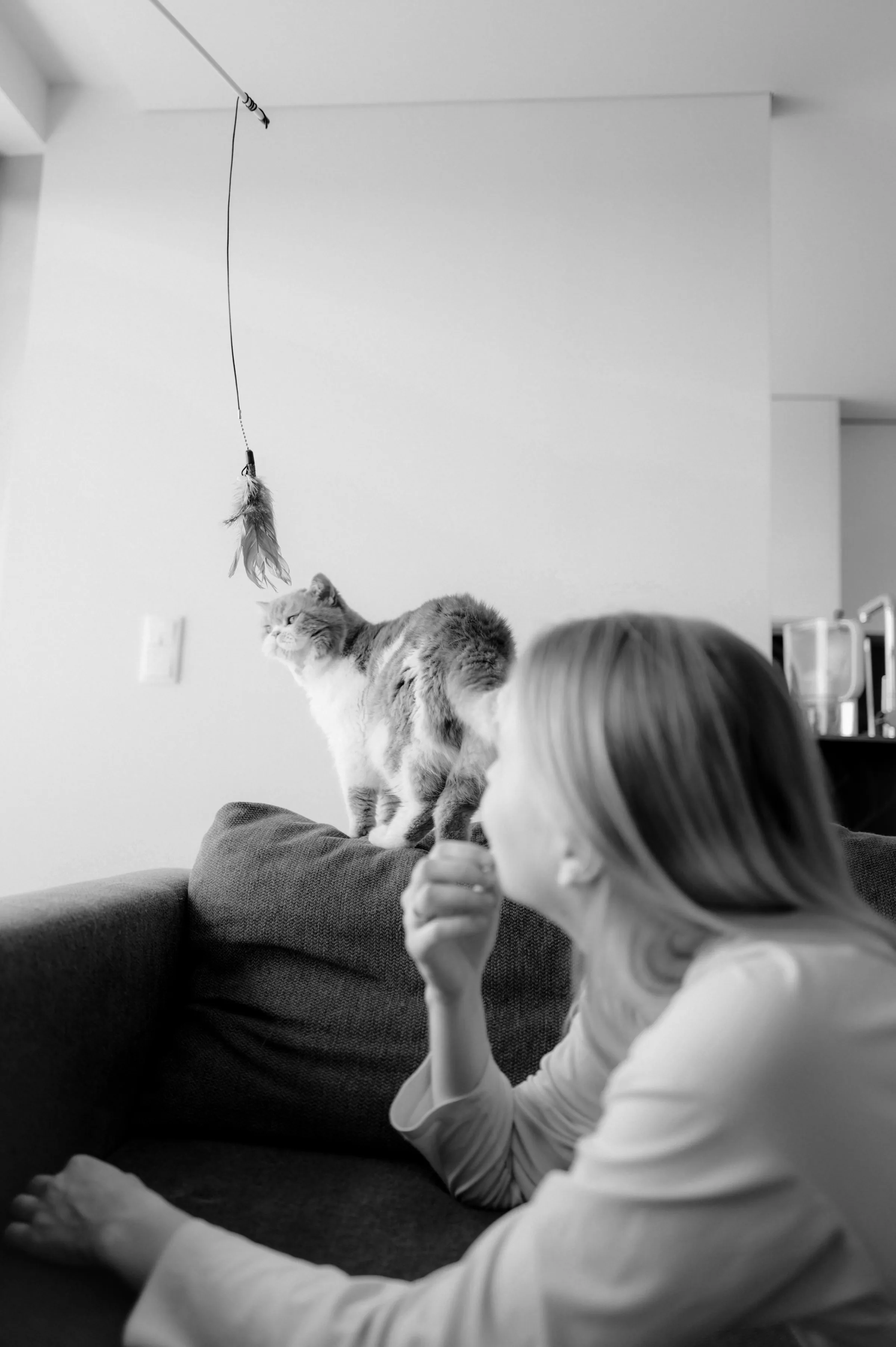 Home session with a woman on a sofa playing with a cat and feather toy in soft light